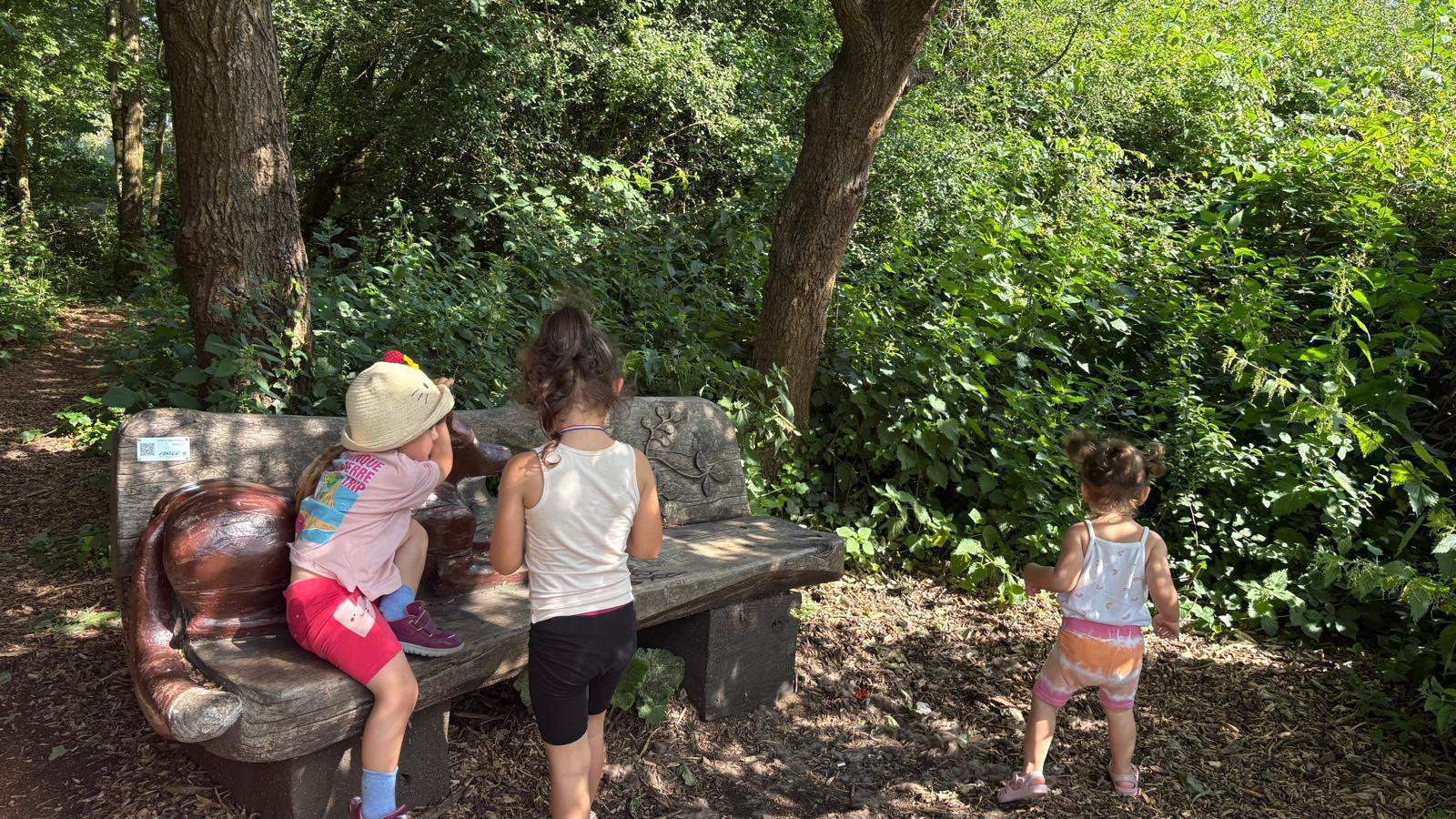 Children exploring a woodland trail